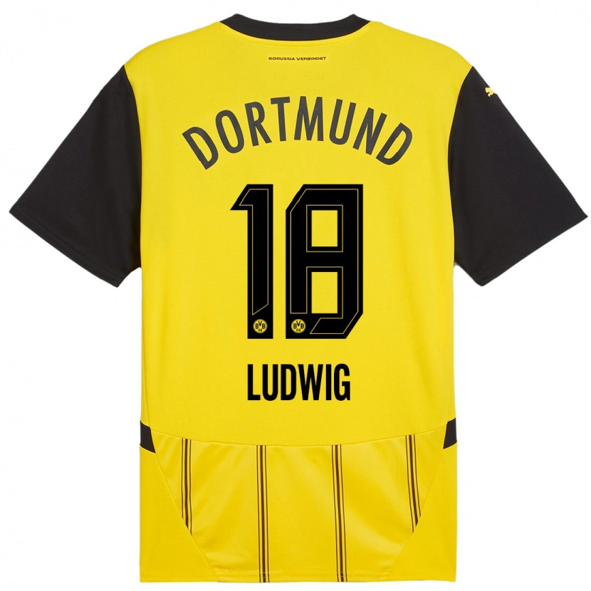 Danxen Heren Michel Ludwig #18 Geel Zwart Thuisshirt Thuistenue 2024/25 T-Shirt