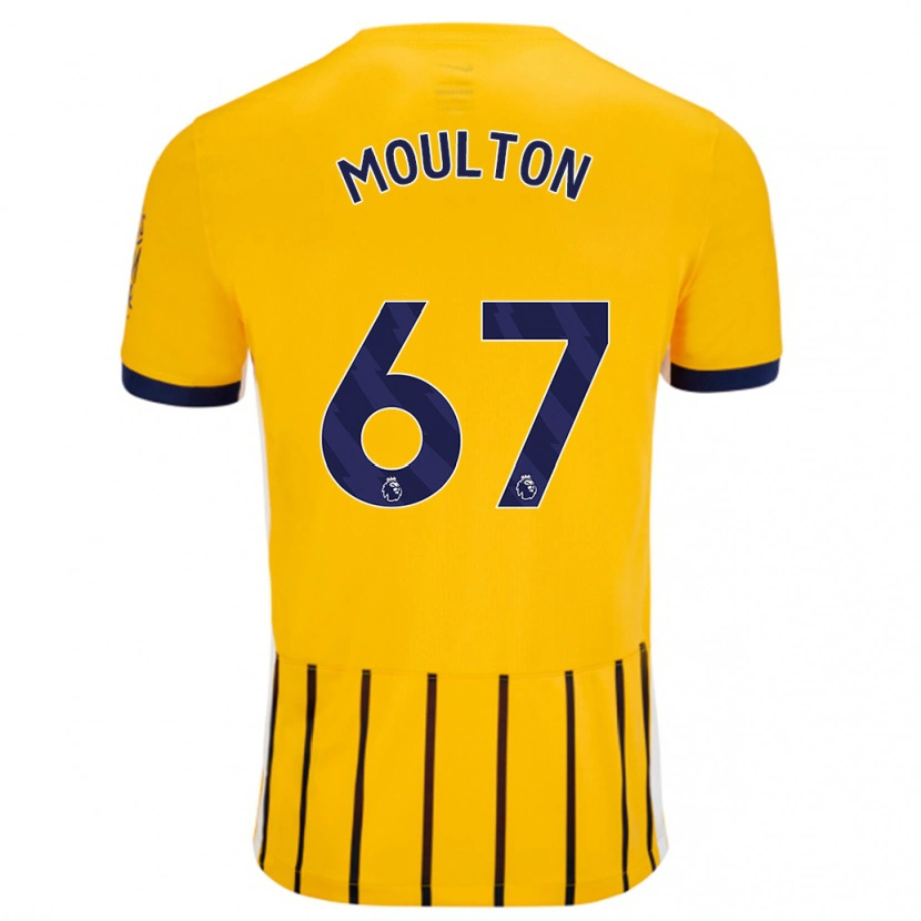 Danxen Heren Remiero Moulton #67 Goud Blauw Krijtstrepen Uitshirt Uittenue 2024/25 T-Shirt